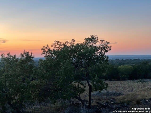 50.01 acres in Blanco County - photo 3