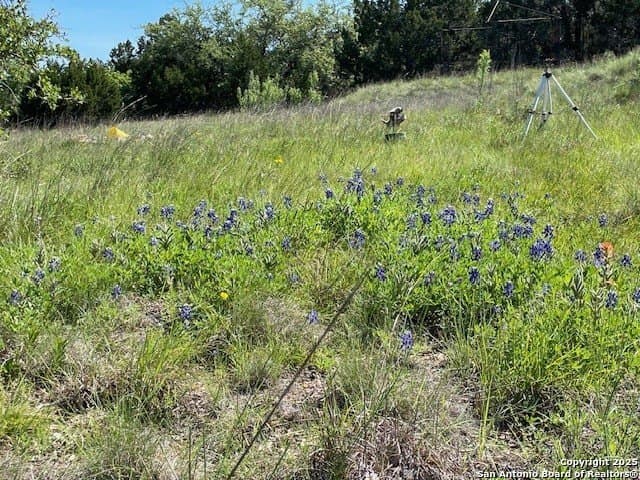 50.01 acres in Blanco County - photo 2