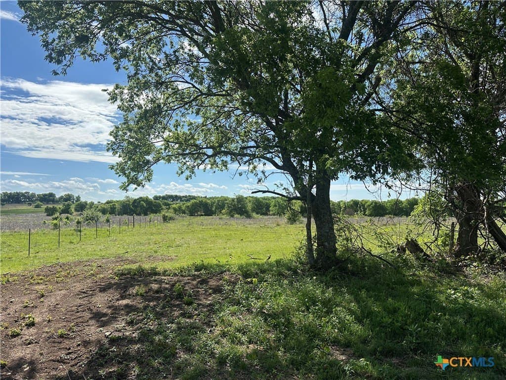 61.5 acres in Bell County - photo 9