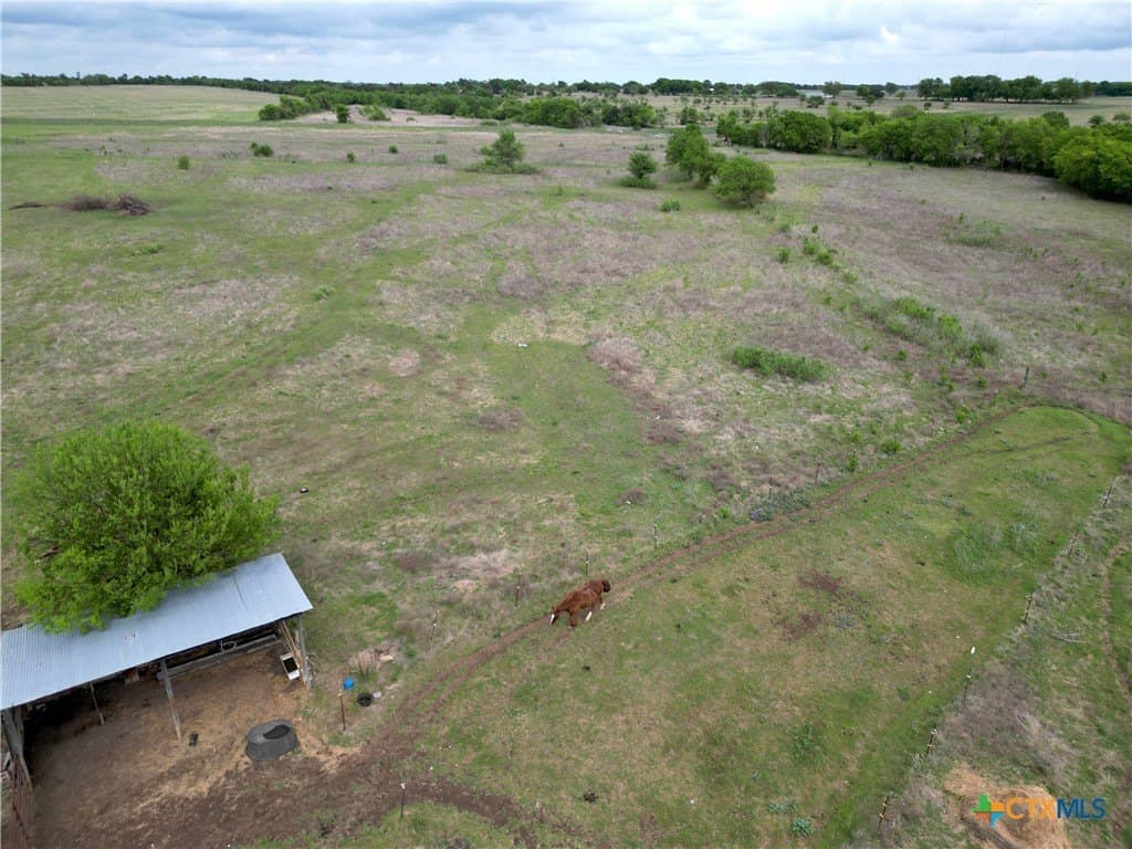 61.5 acres in Bell County - photo 21