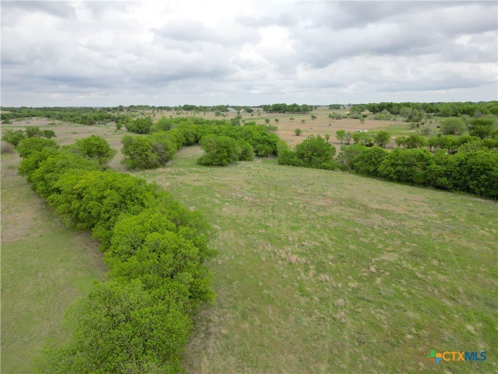 61.5 acres in Bell County - photo 6