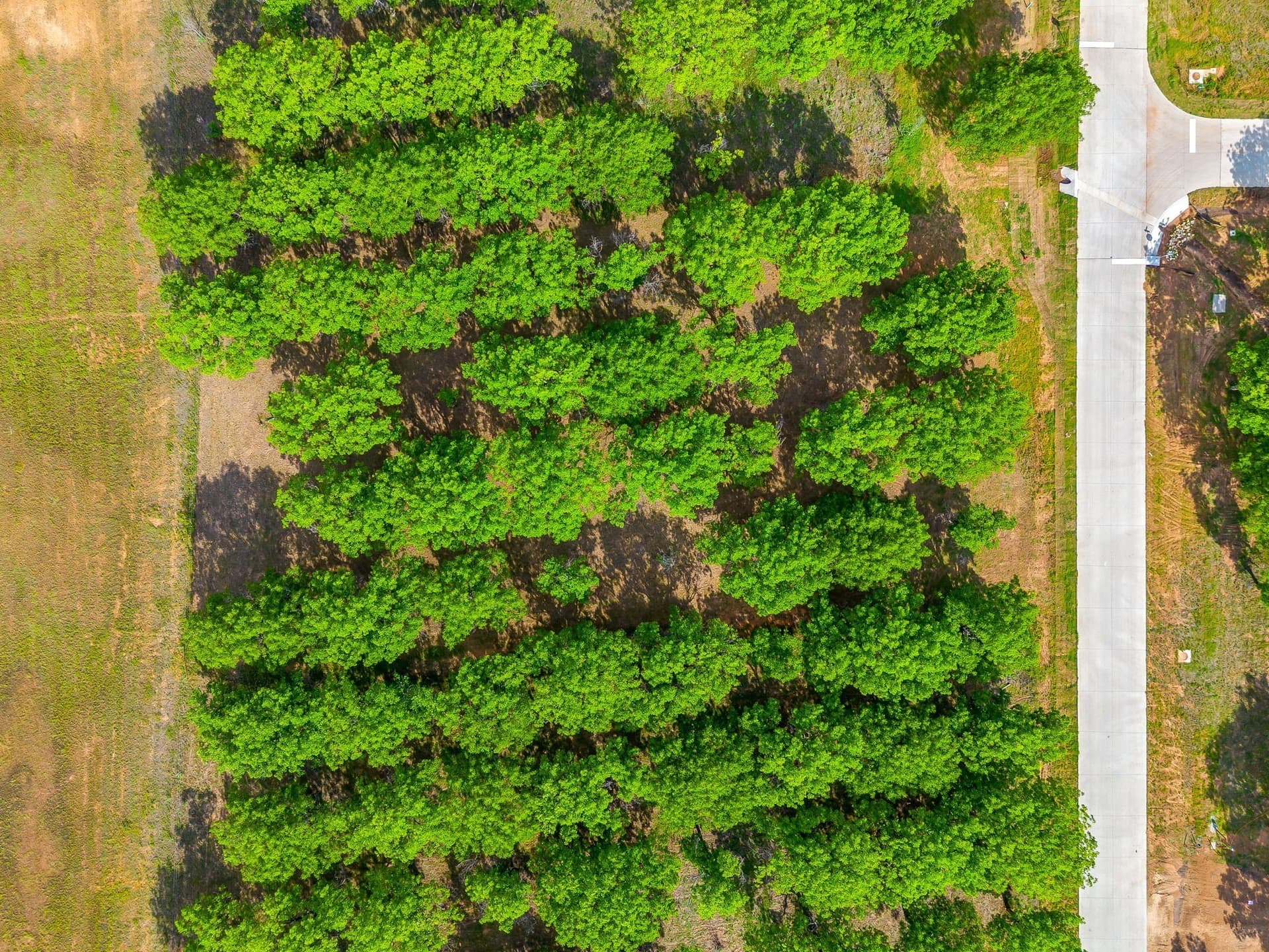 1.11 acres in Hood County - photo 12