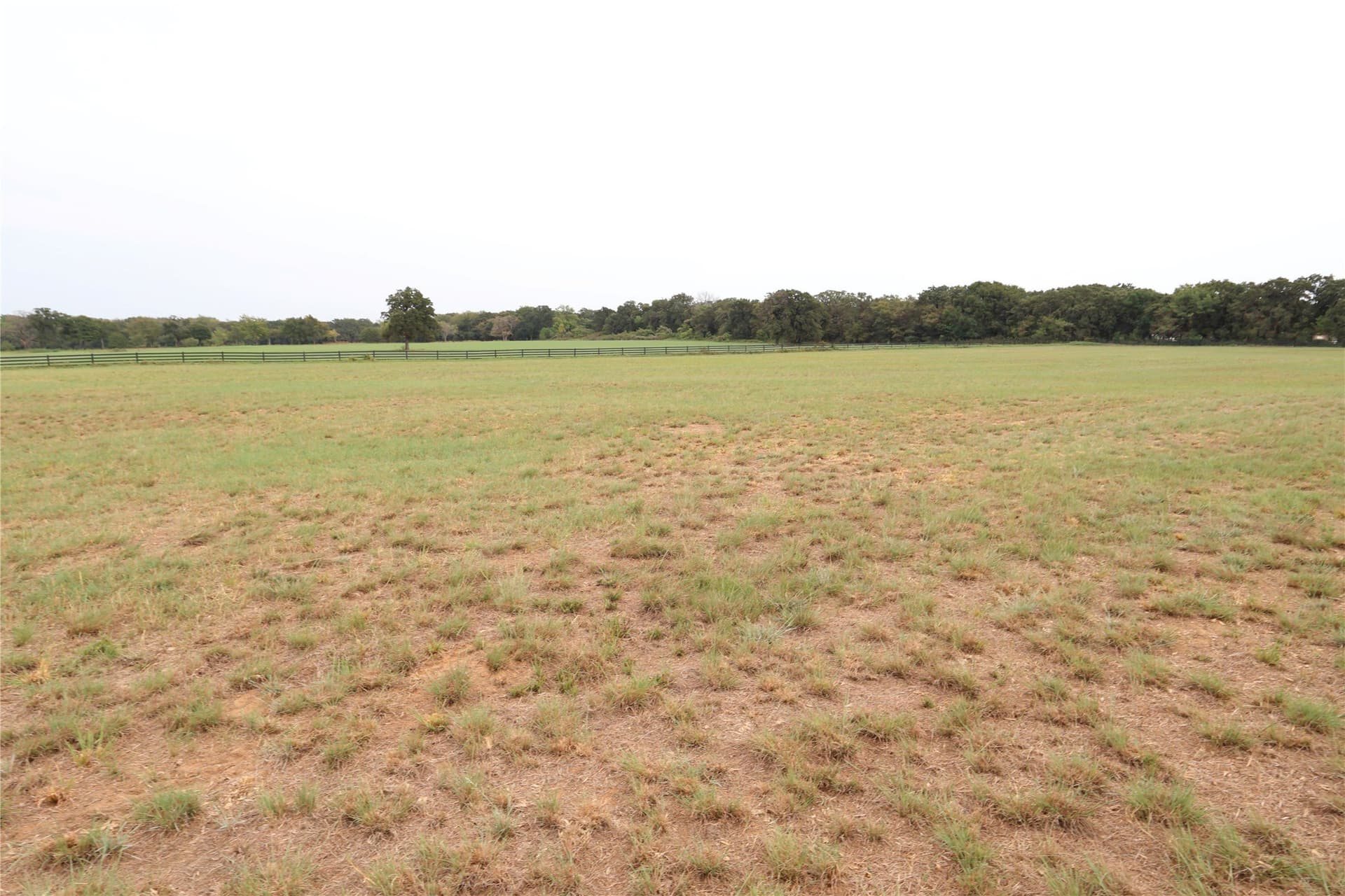 33.55 acres in Denton County - photo 16