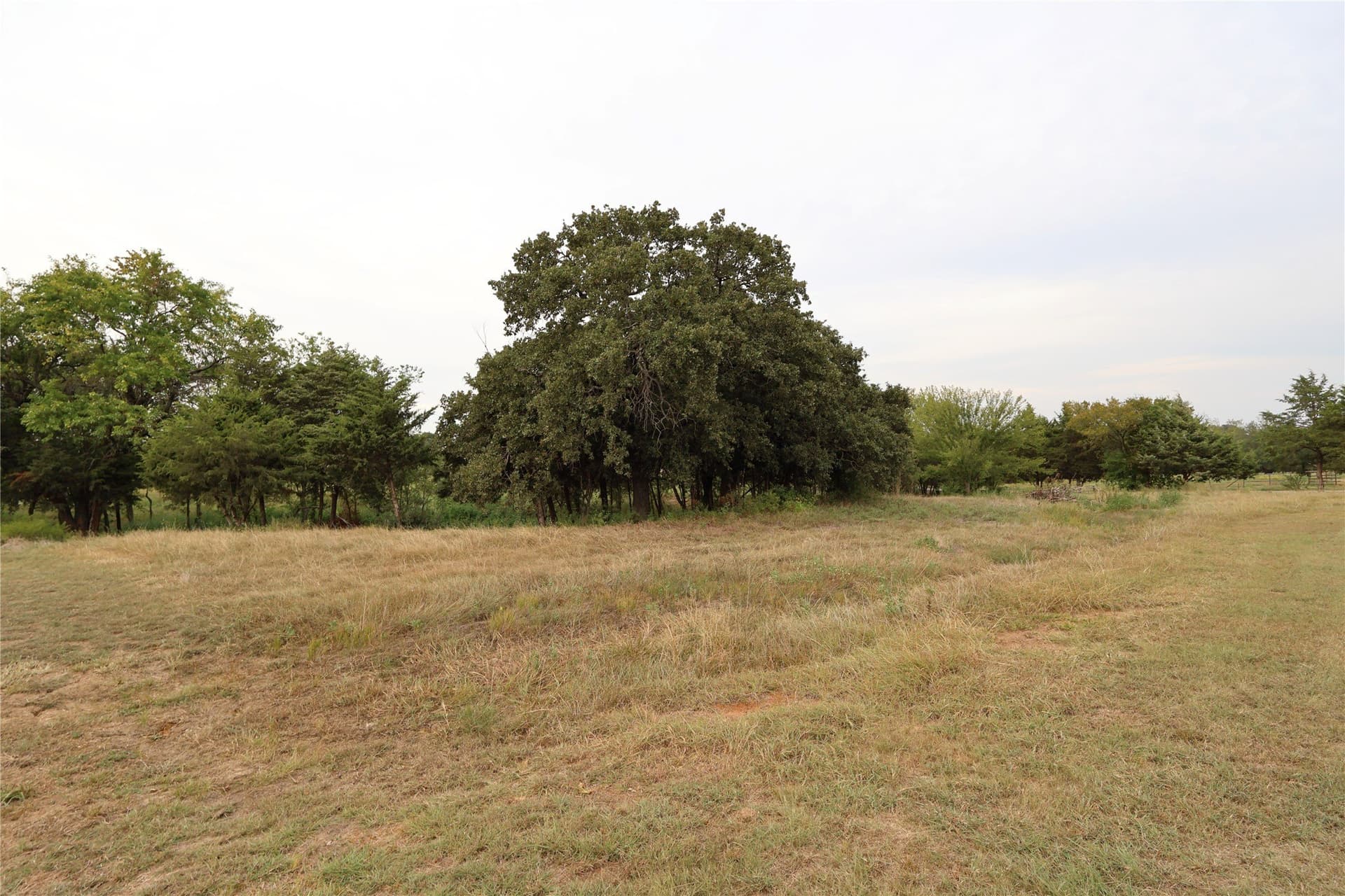 33.55 acres in Denton County - photo 11