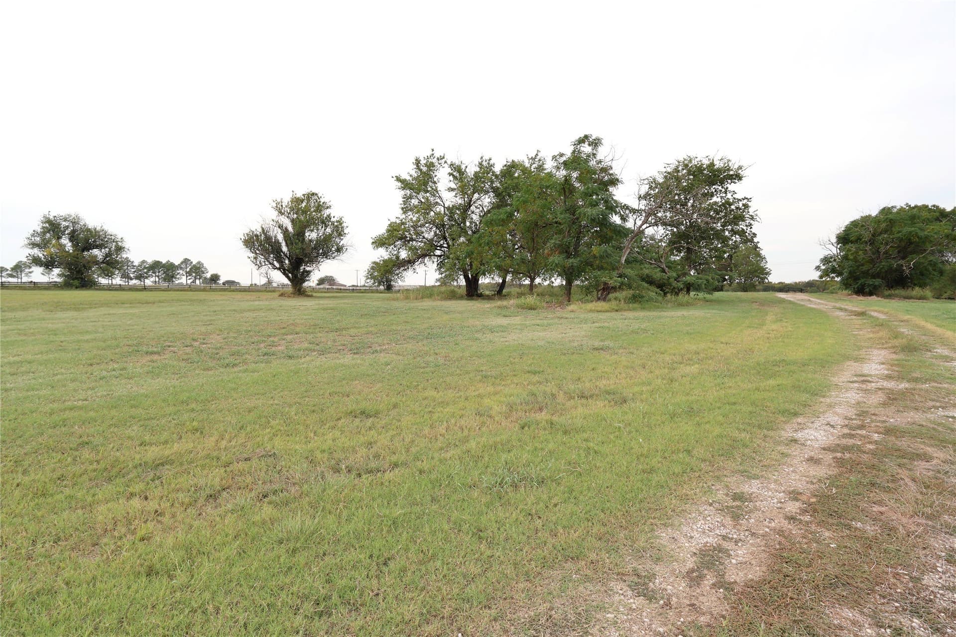 33.55 acres in Denton County - photo 6