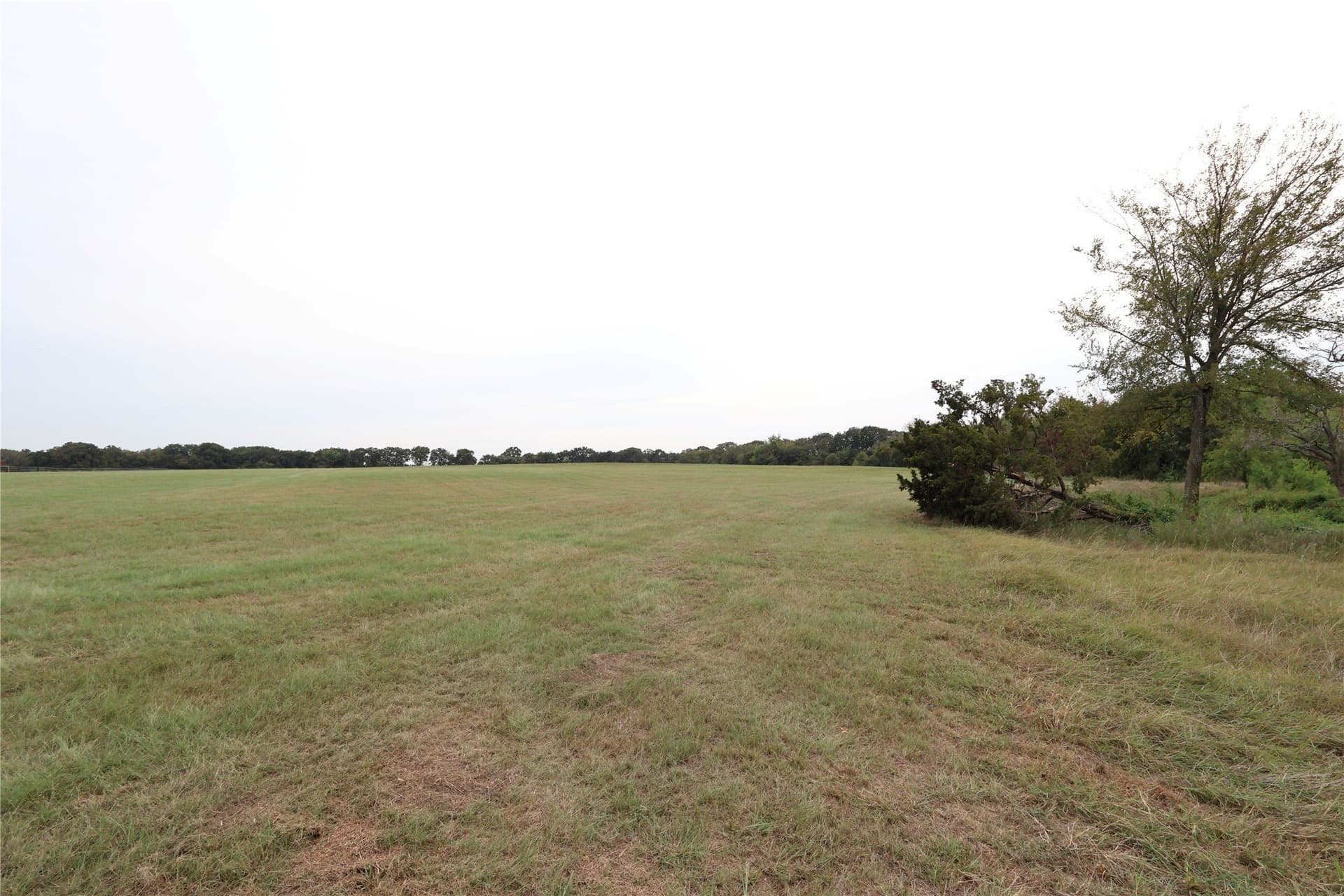 33.55 acres in Denton County - photo 10