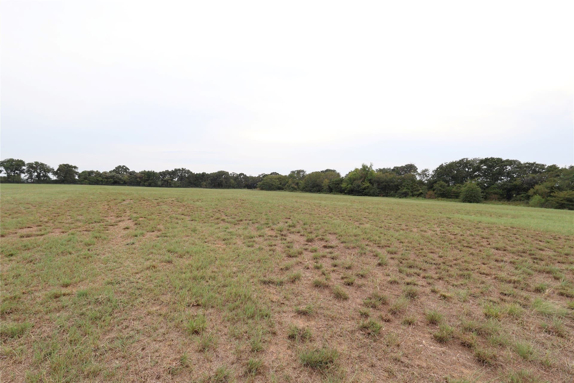 33.55 acres in Denton County - photo 15