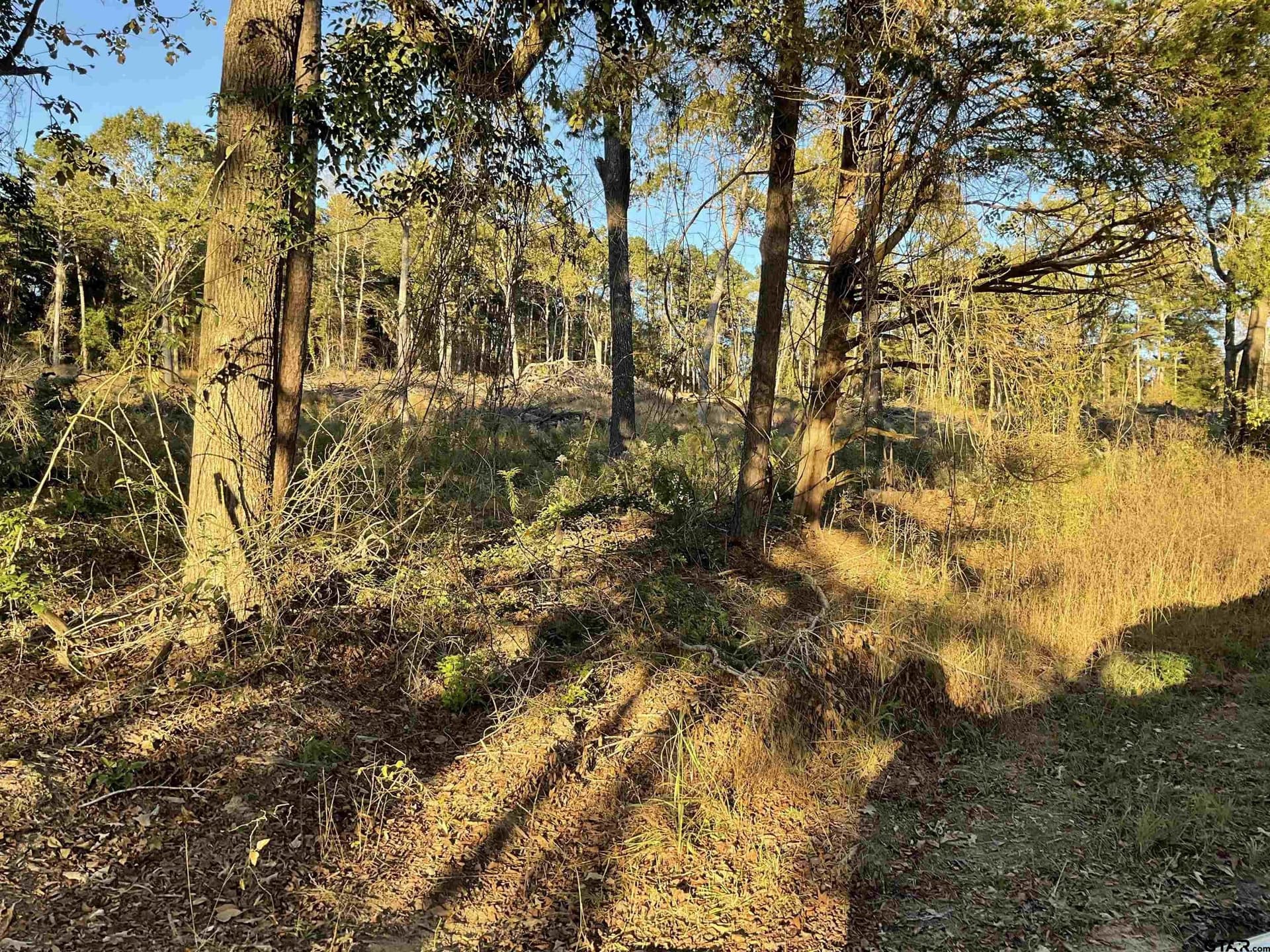 1.45 acres in Smith County - photo 5