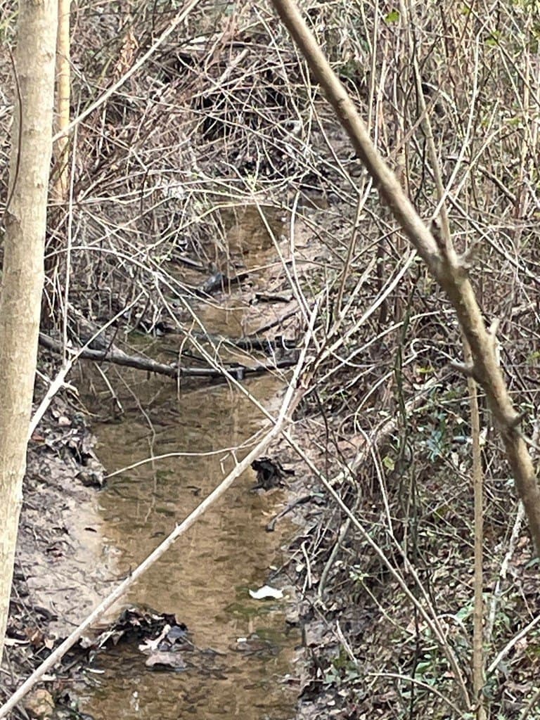 18 acres in Texas County featured view