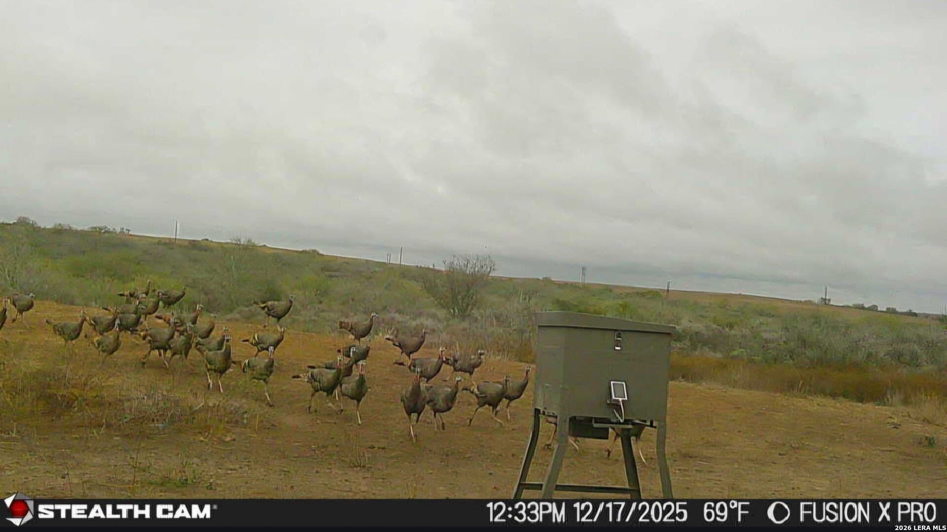 56.35 acres in Karnes County