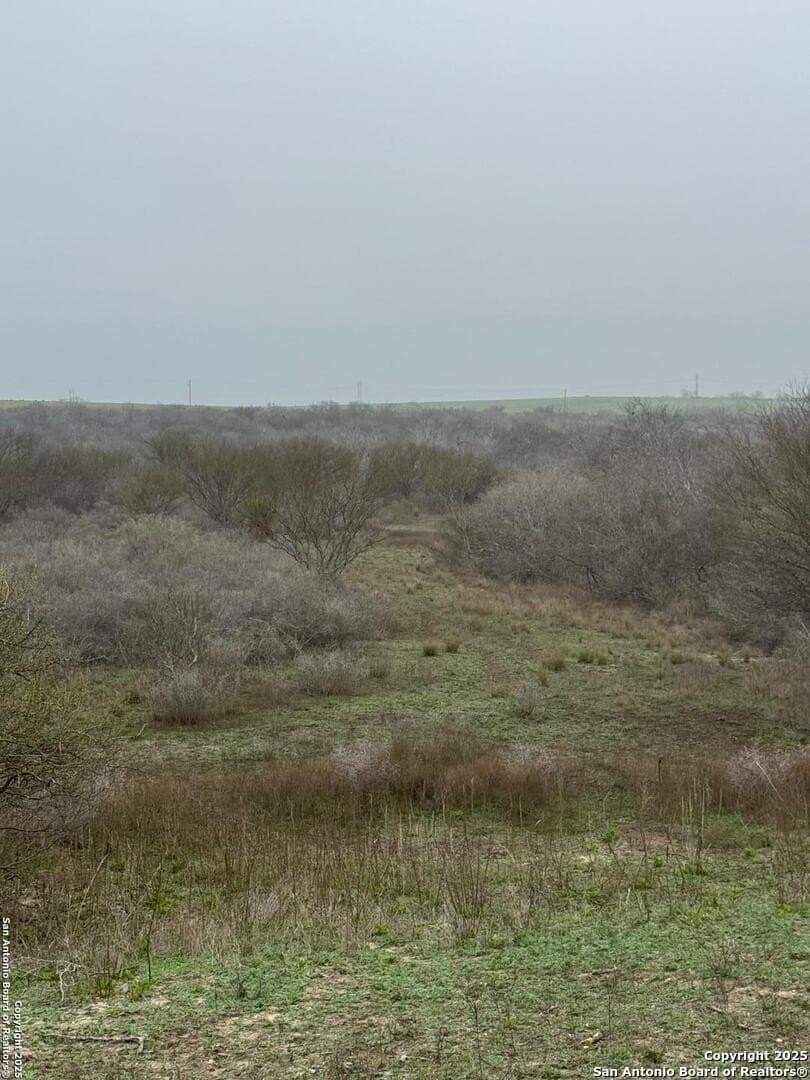 56.35 acres in Karnes County featured view