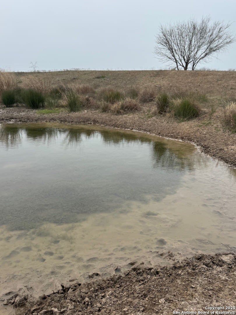 56.35 acres in Karnes County gallery image 4