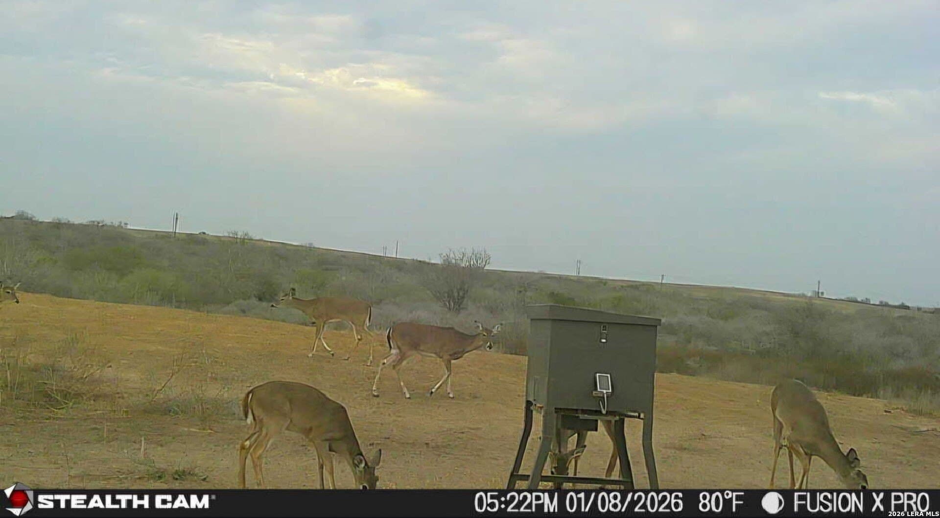 56.35 acres in Karnes County gallery image 3