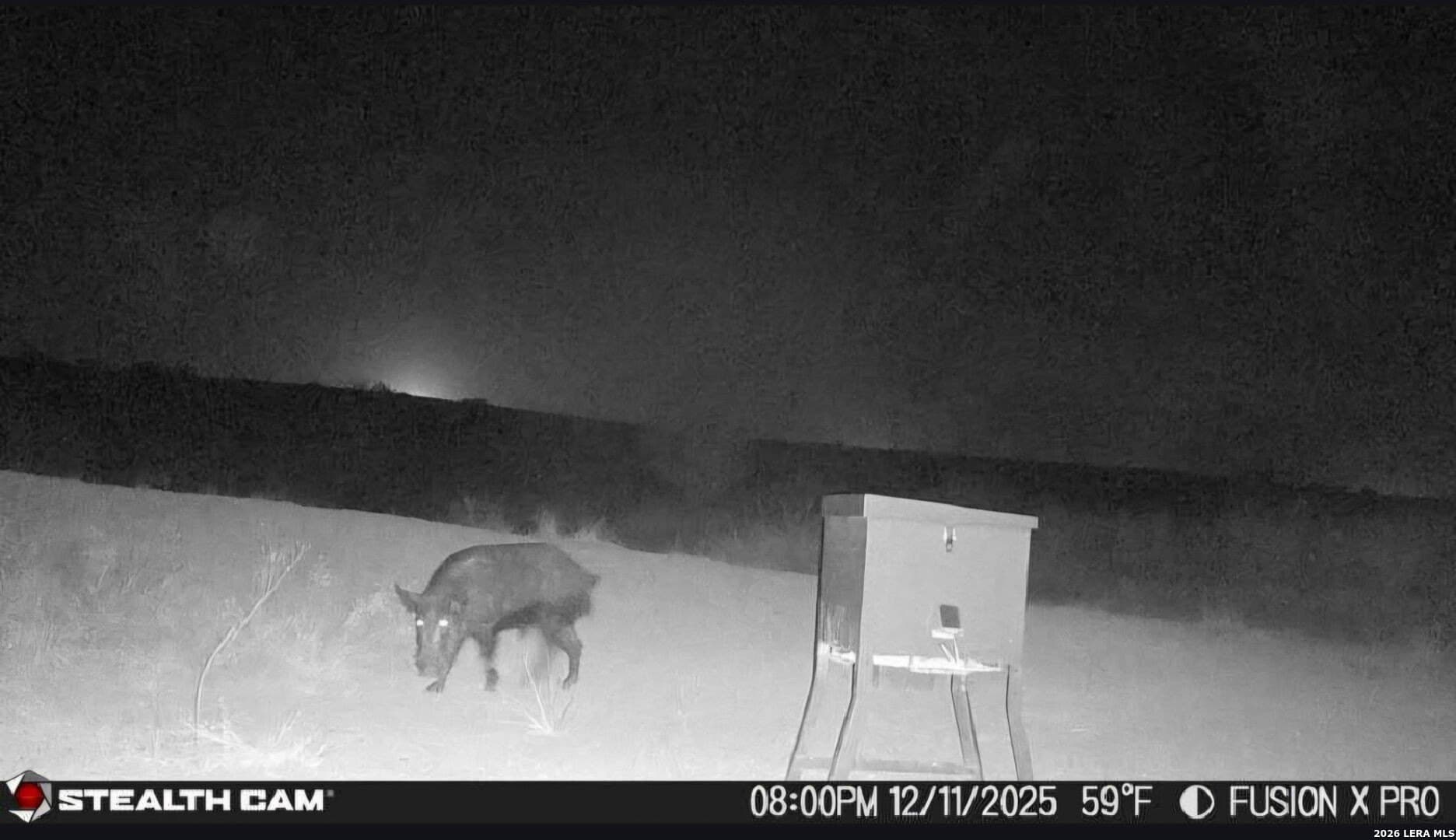 56.35 acres in Karnes County gallery image 2