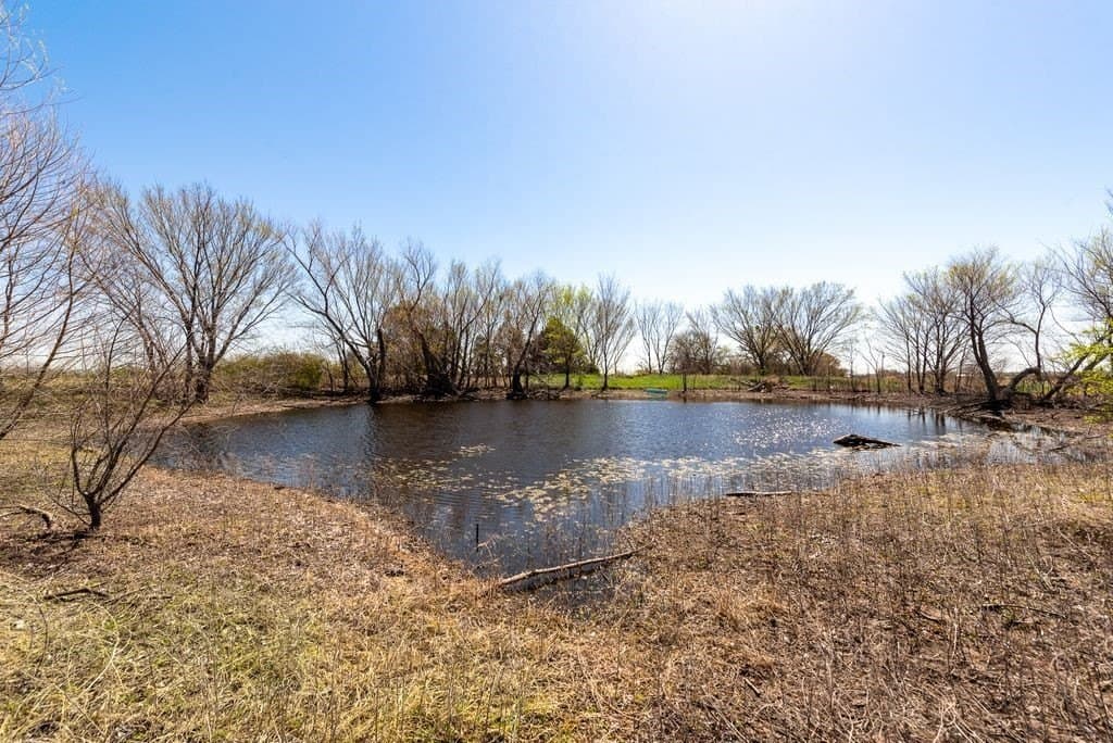 10 acres in Denton County - photo 8