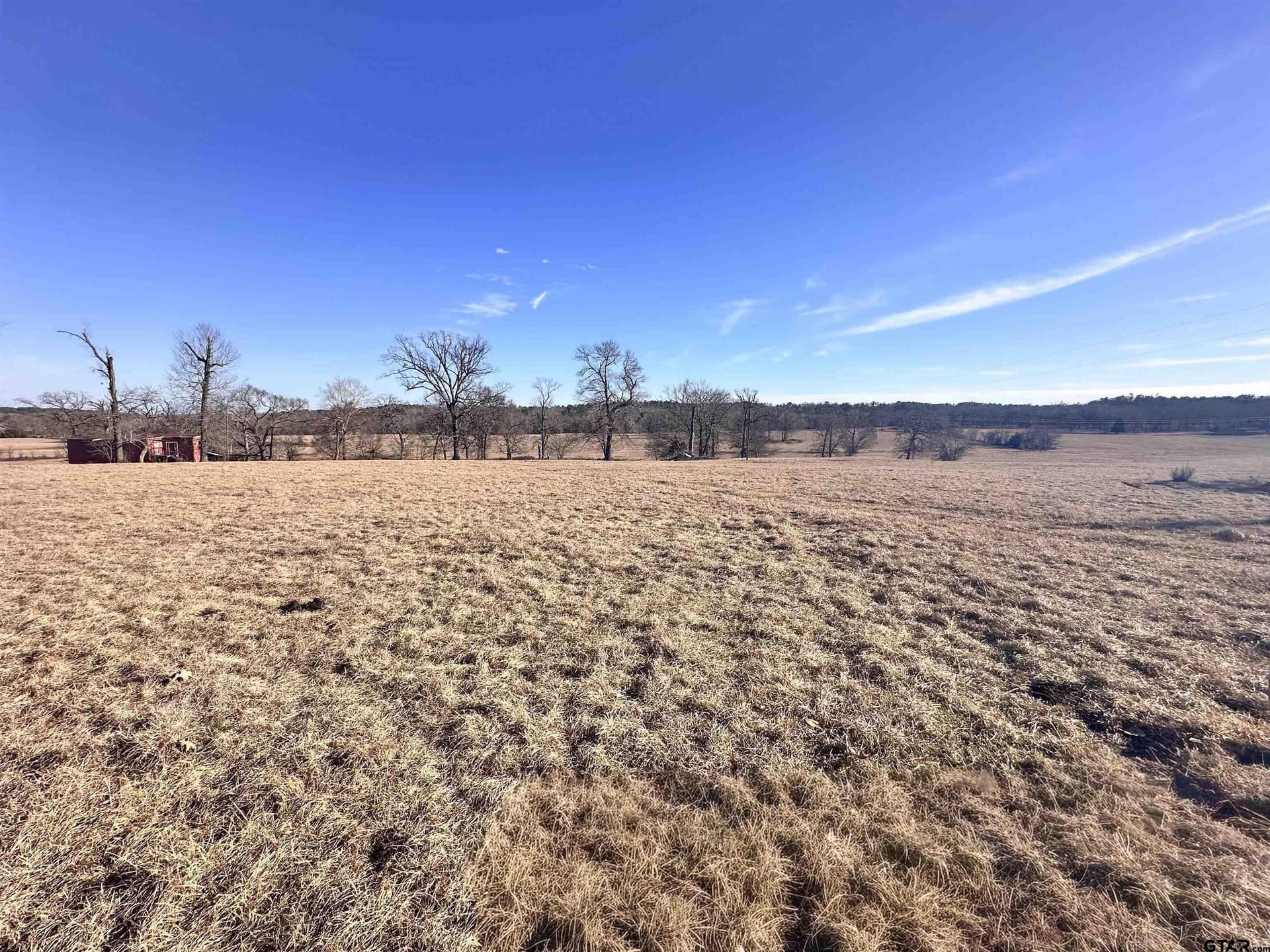 16.7 acres in Henderson County gallery image 4