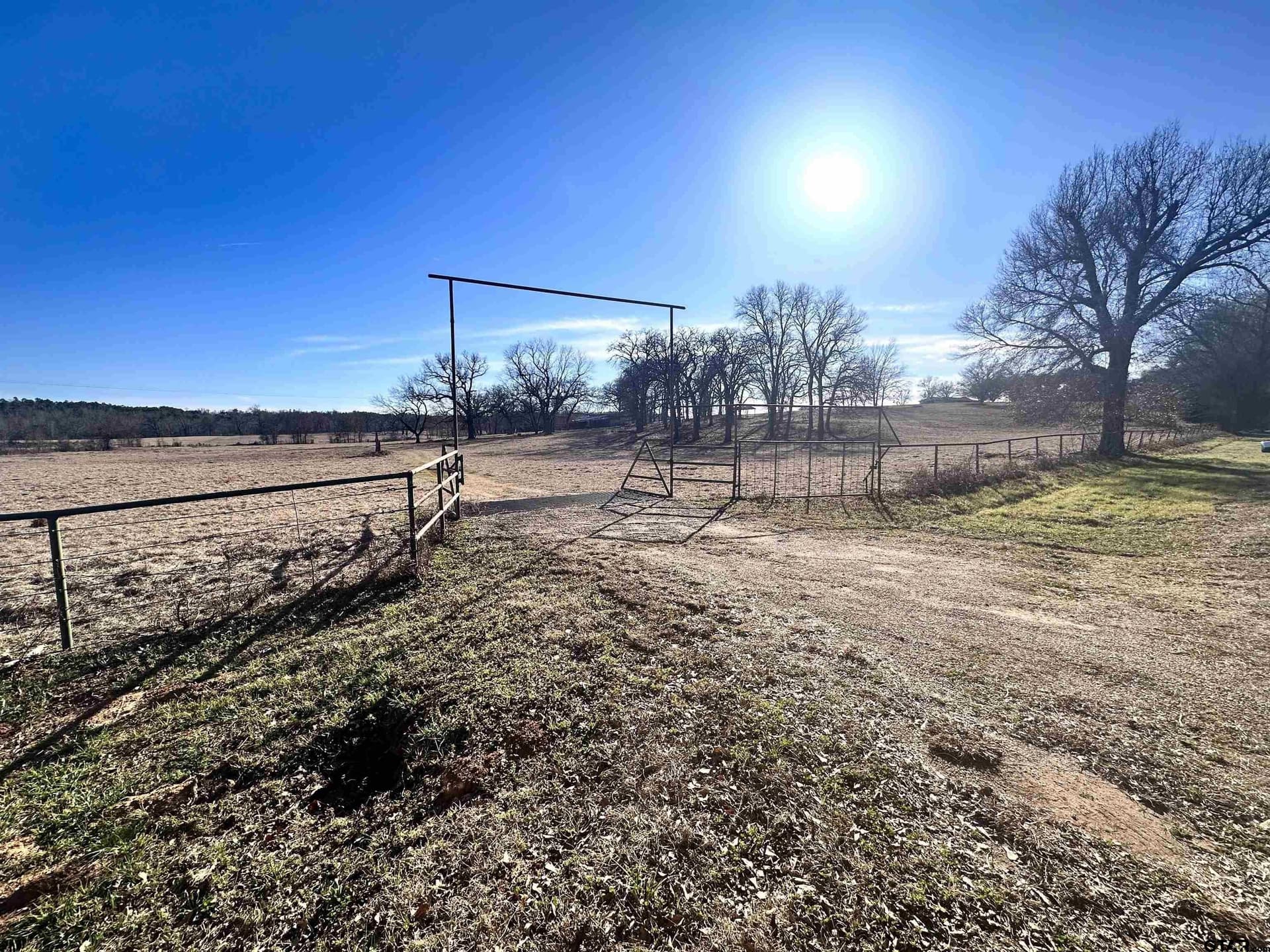 16.7 acres in Henderson County gallery image 3