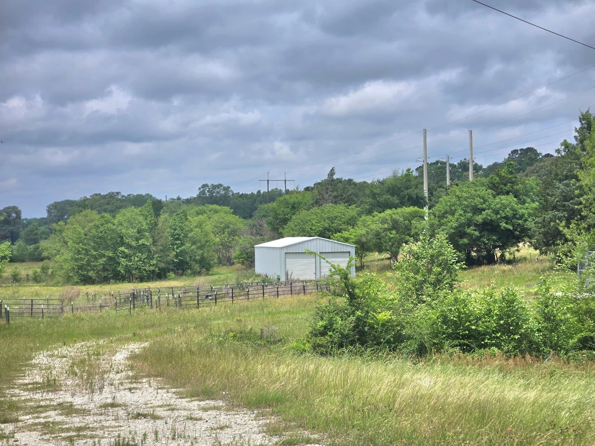 65 acres in Smith County gallery image 2