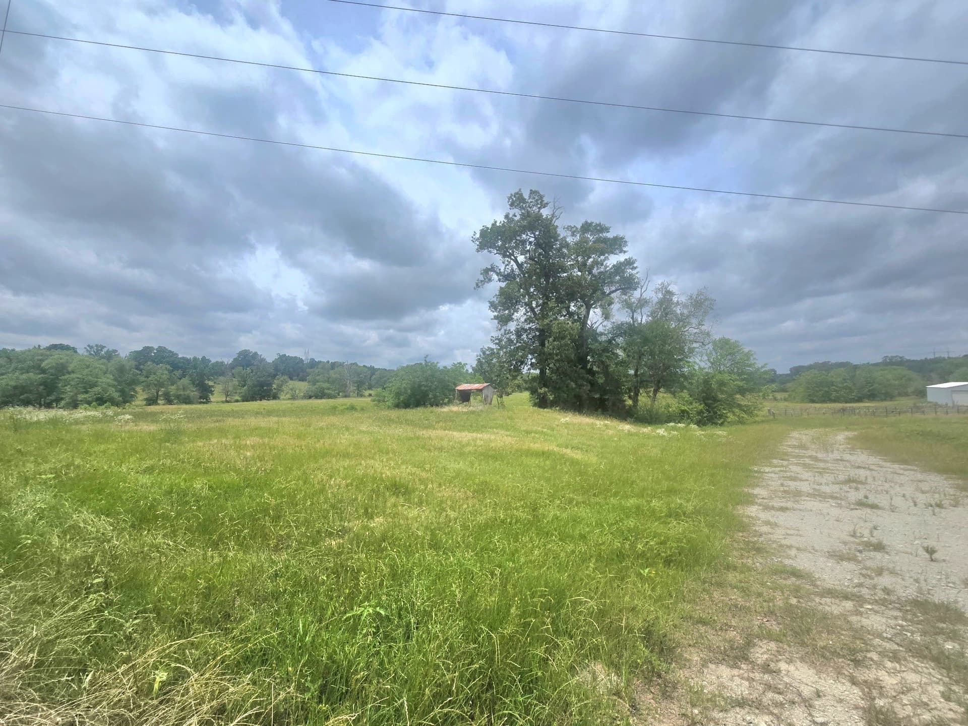 65 acres in Smith County gallery image 4