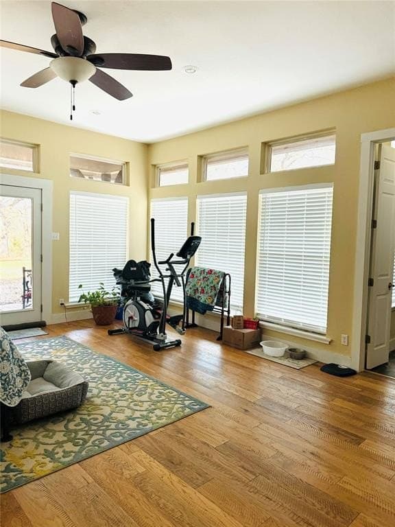 32 acres in Fannin County gallery image 2