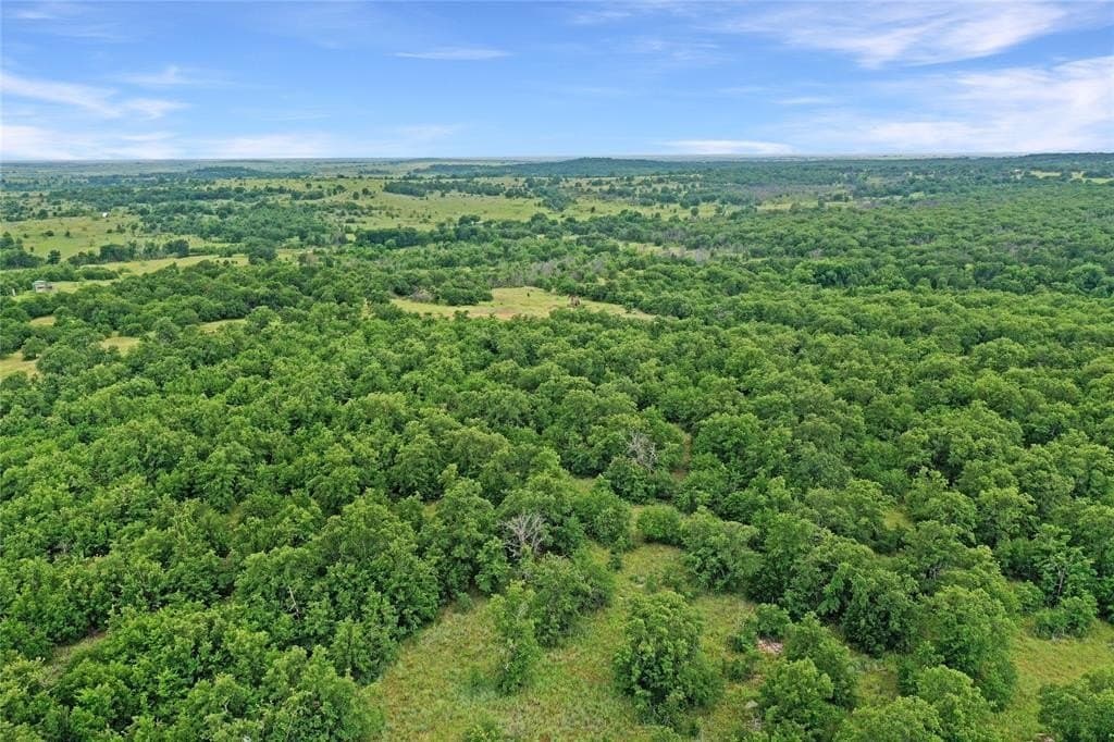 214.68 acres in Jack County gallery image 3