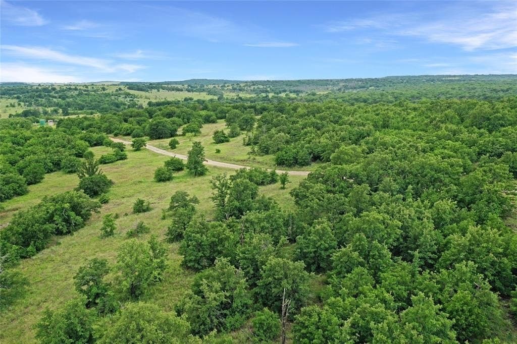 214.68 acres in Jack County gallery image 4