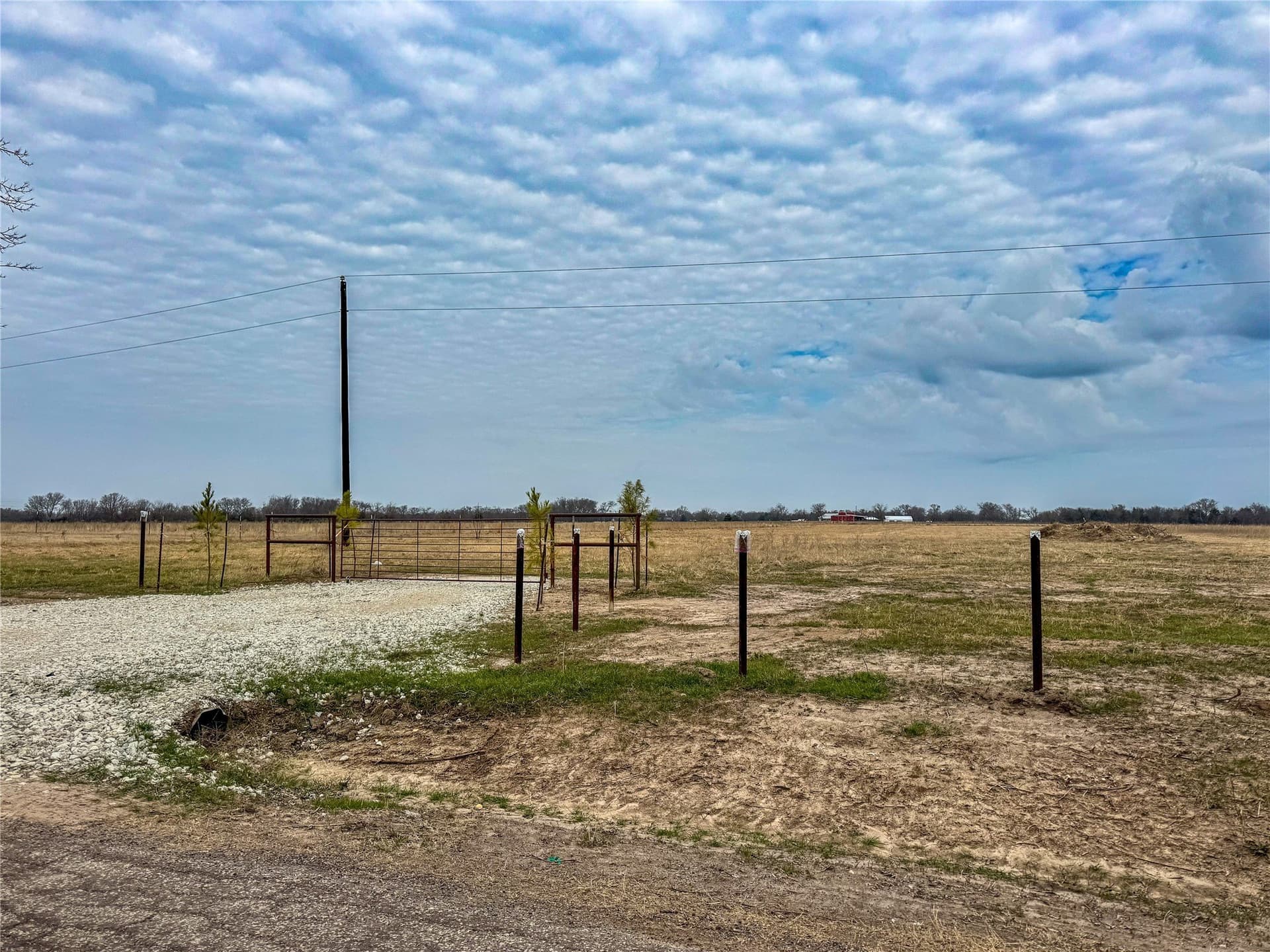 3 acres in Rains County gallery image 4
