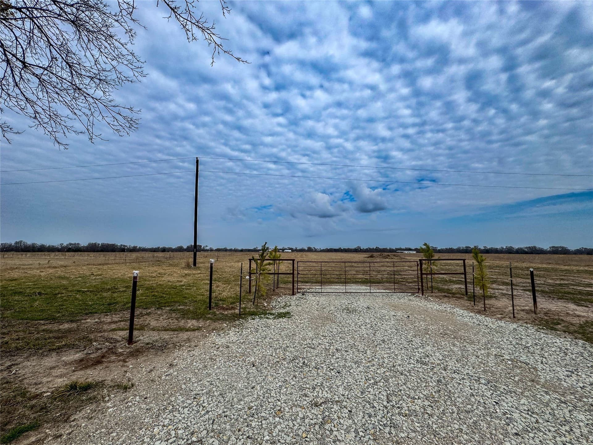3 acres in Rains County gallery image 2
