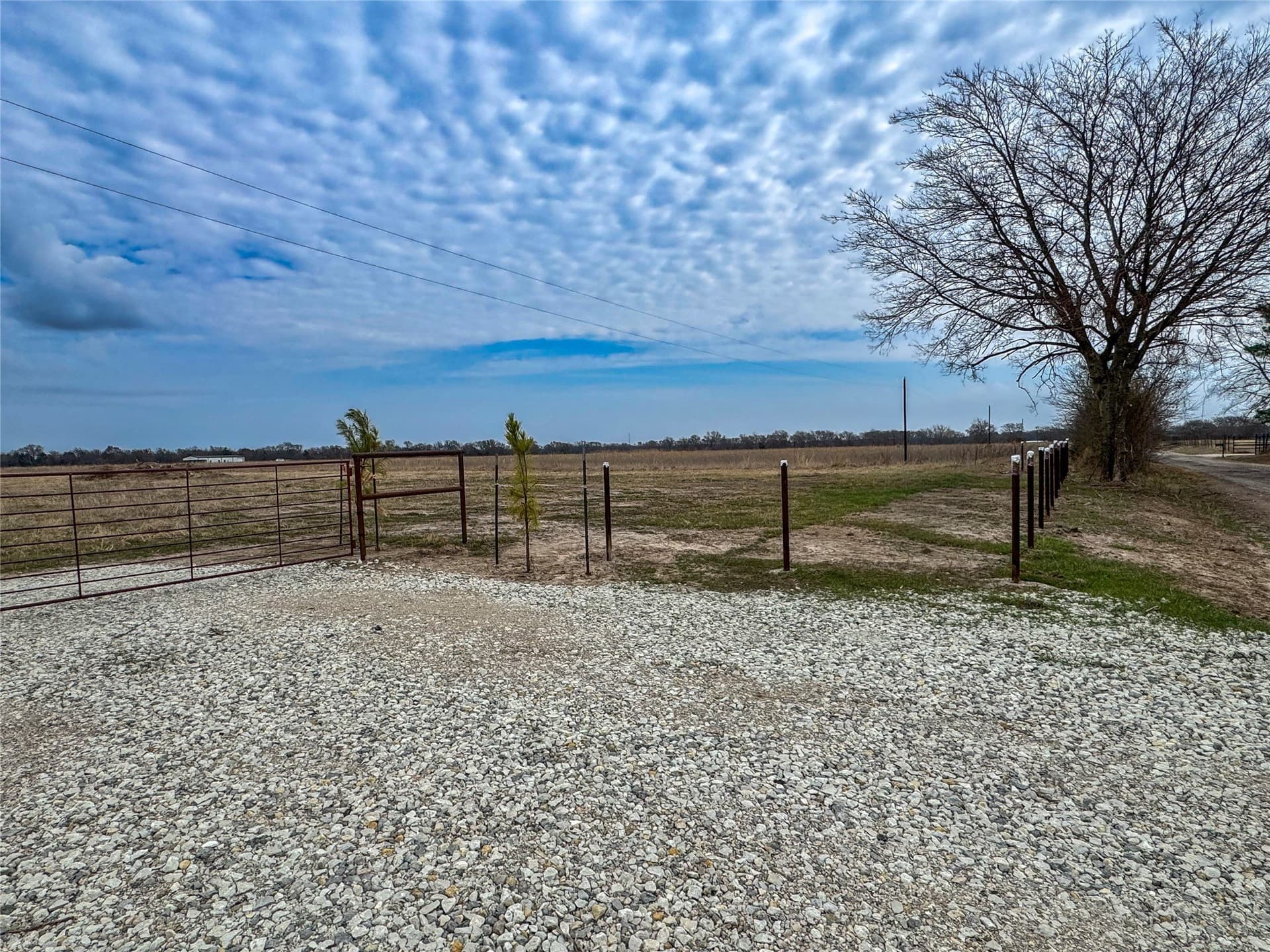 3 acres in Rains County gallery image 3