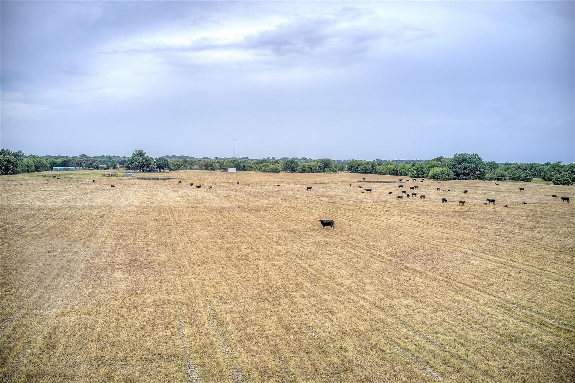 17.5 acres in Hunt County - photo 16