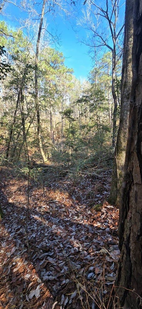 0.39 acres in Texas County gallery image 3