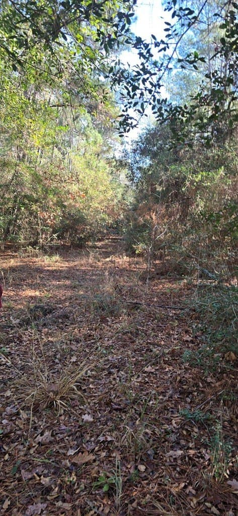 0.39 acres in Texas County gallery image 4