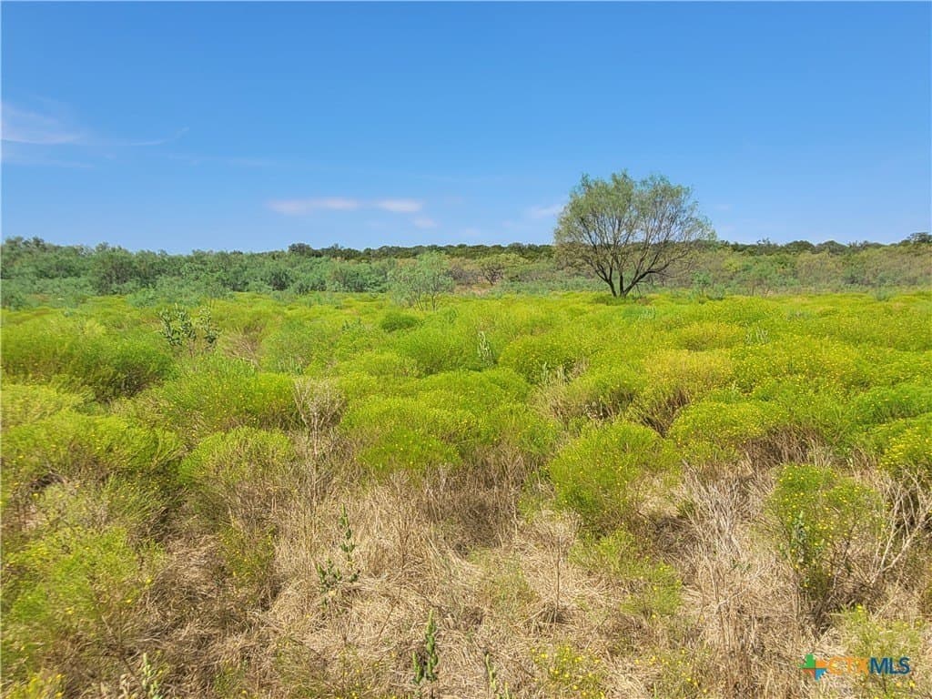 79.62 acres in Brown County - photo 9
