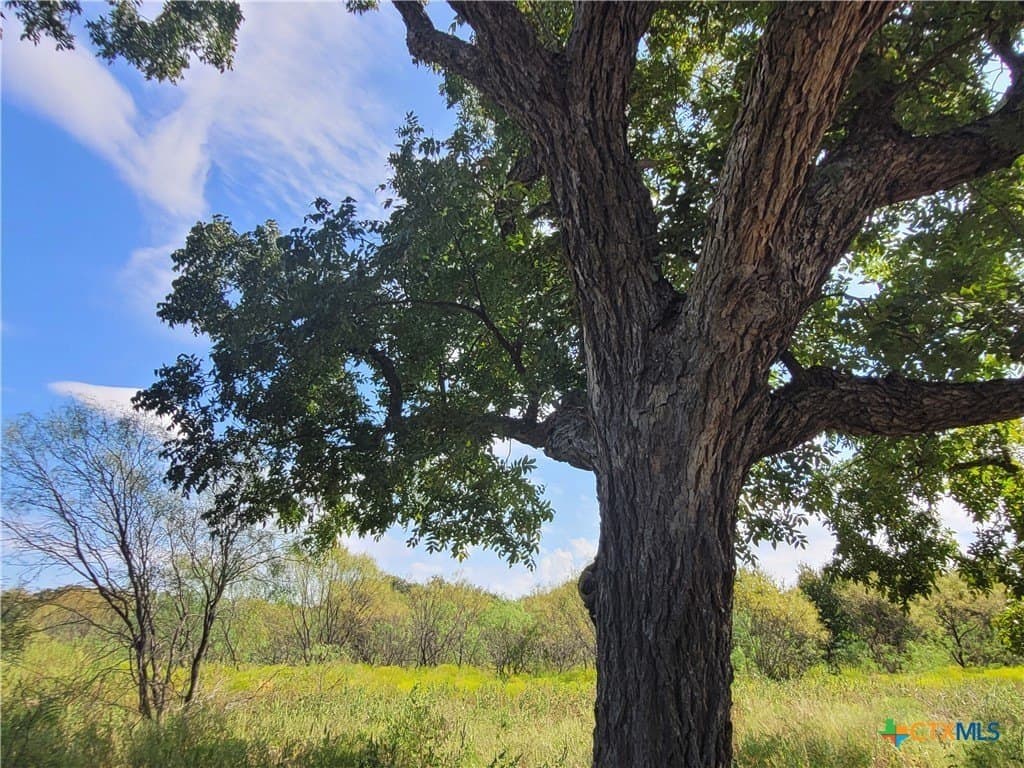 79.62 acres in Brown County - photo 4