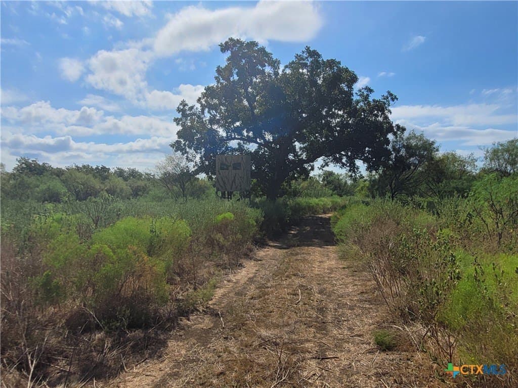 79.62 acres in Brown County - photo 7