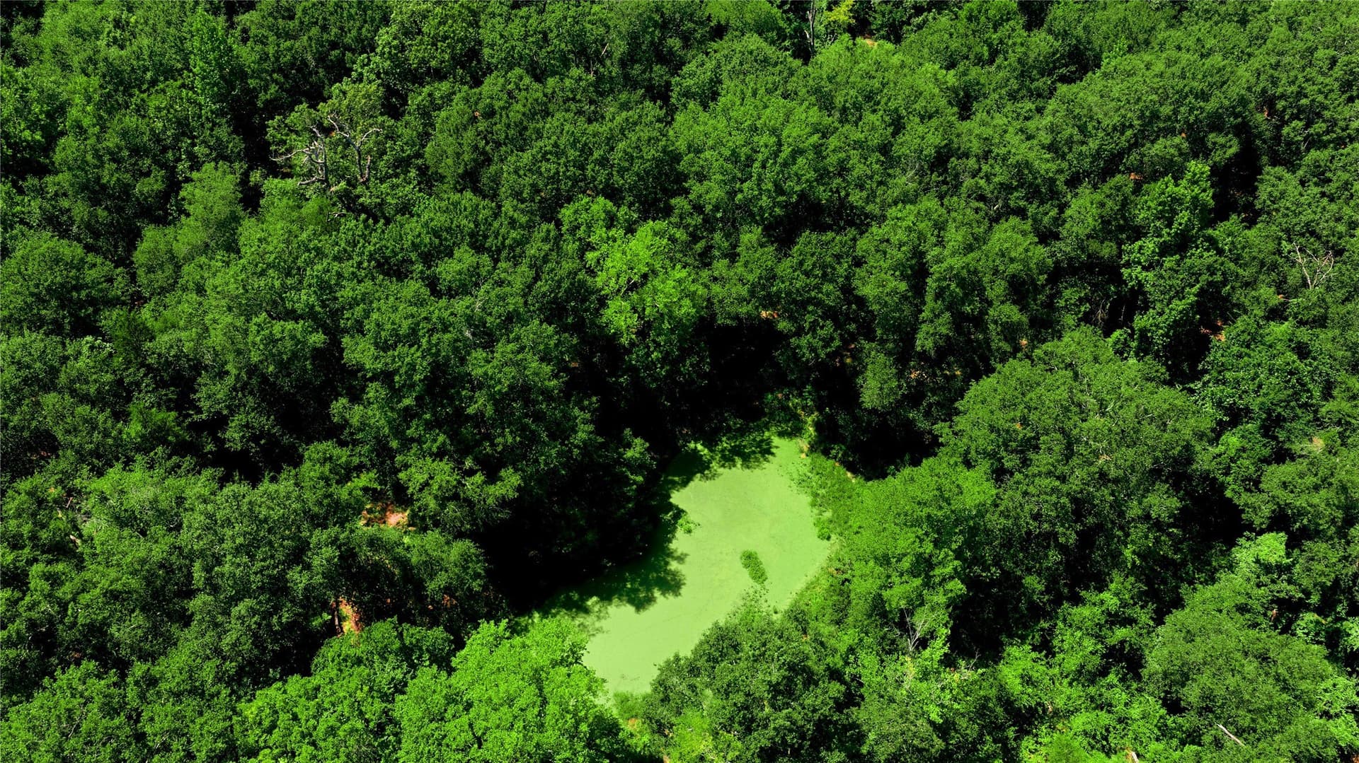 13.48 acres in Henderson County - photo 32