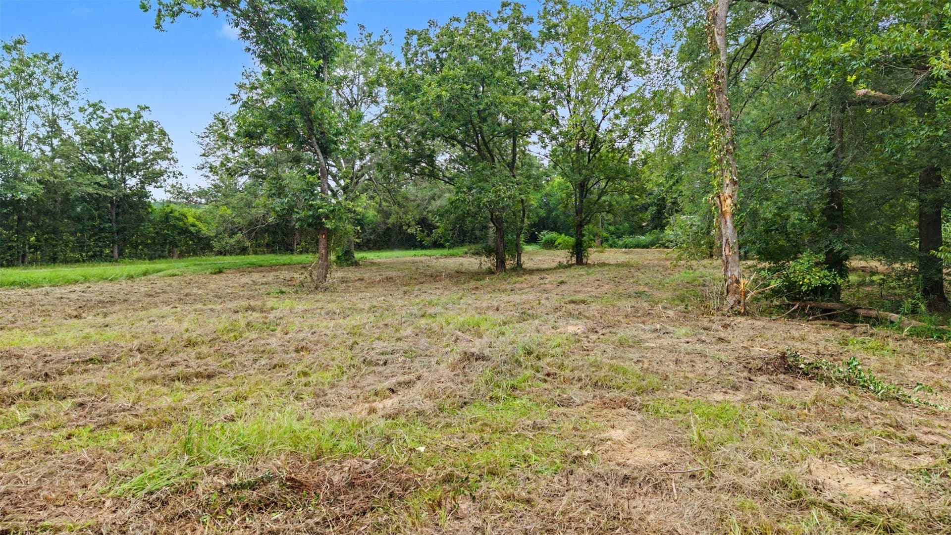 1.7 acres in Morris County - photo 6