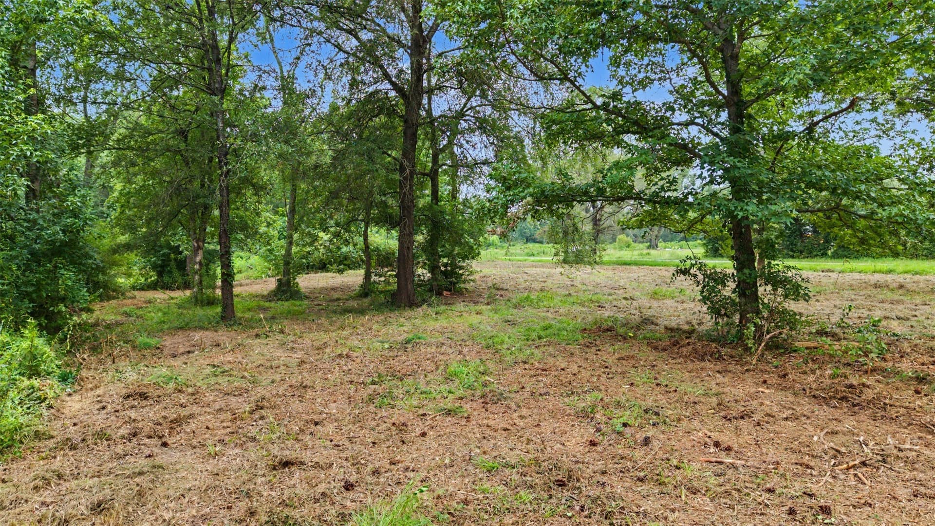 1.7 acres in Morris County - photo 4