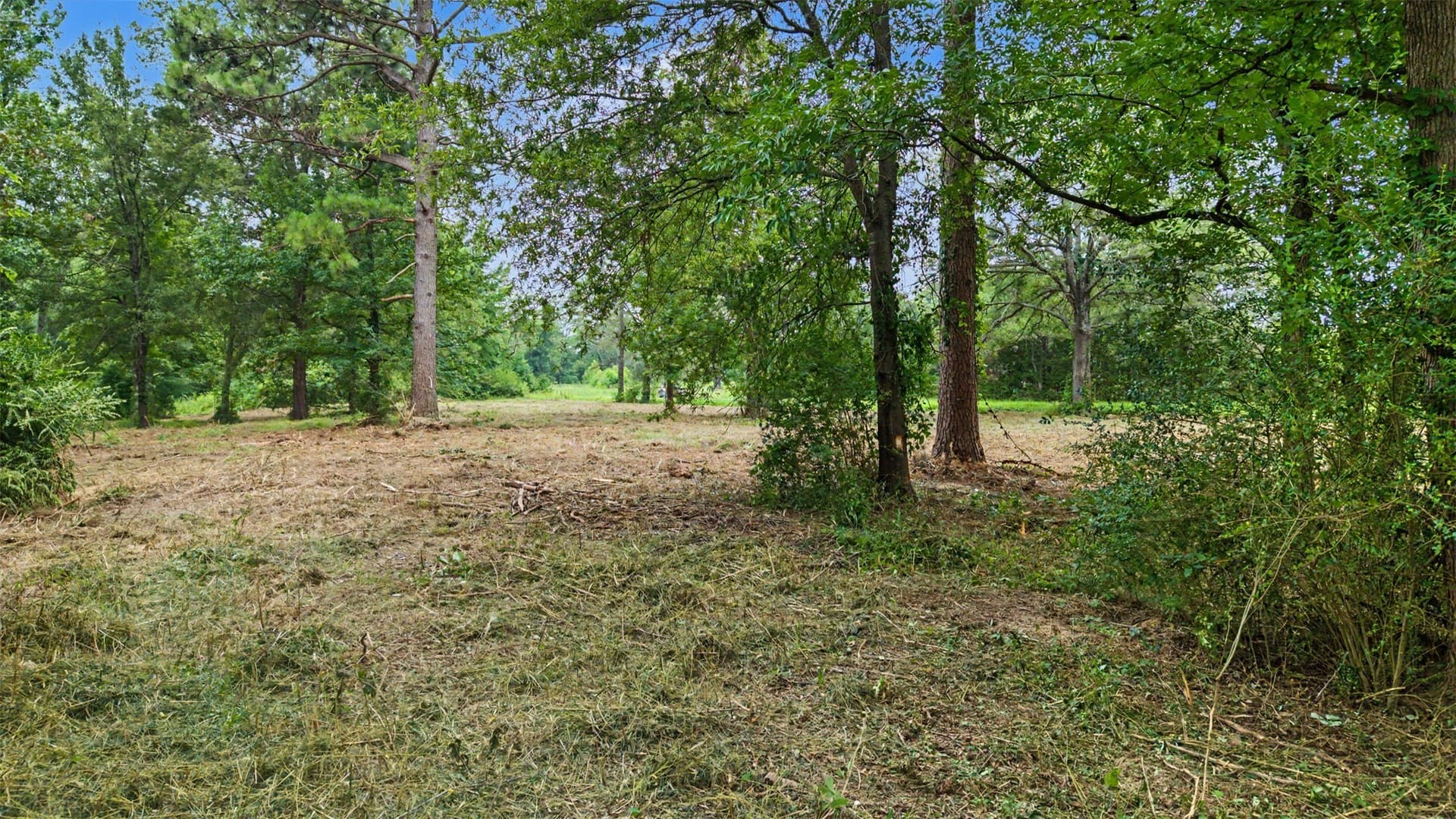 1.7 acres in Morris County - photo 12