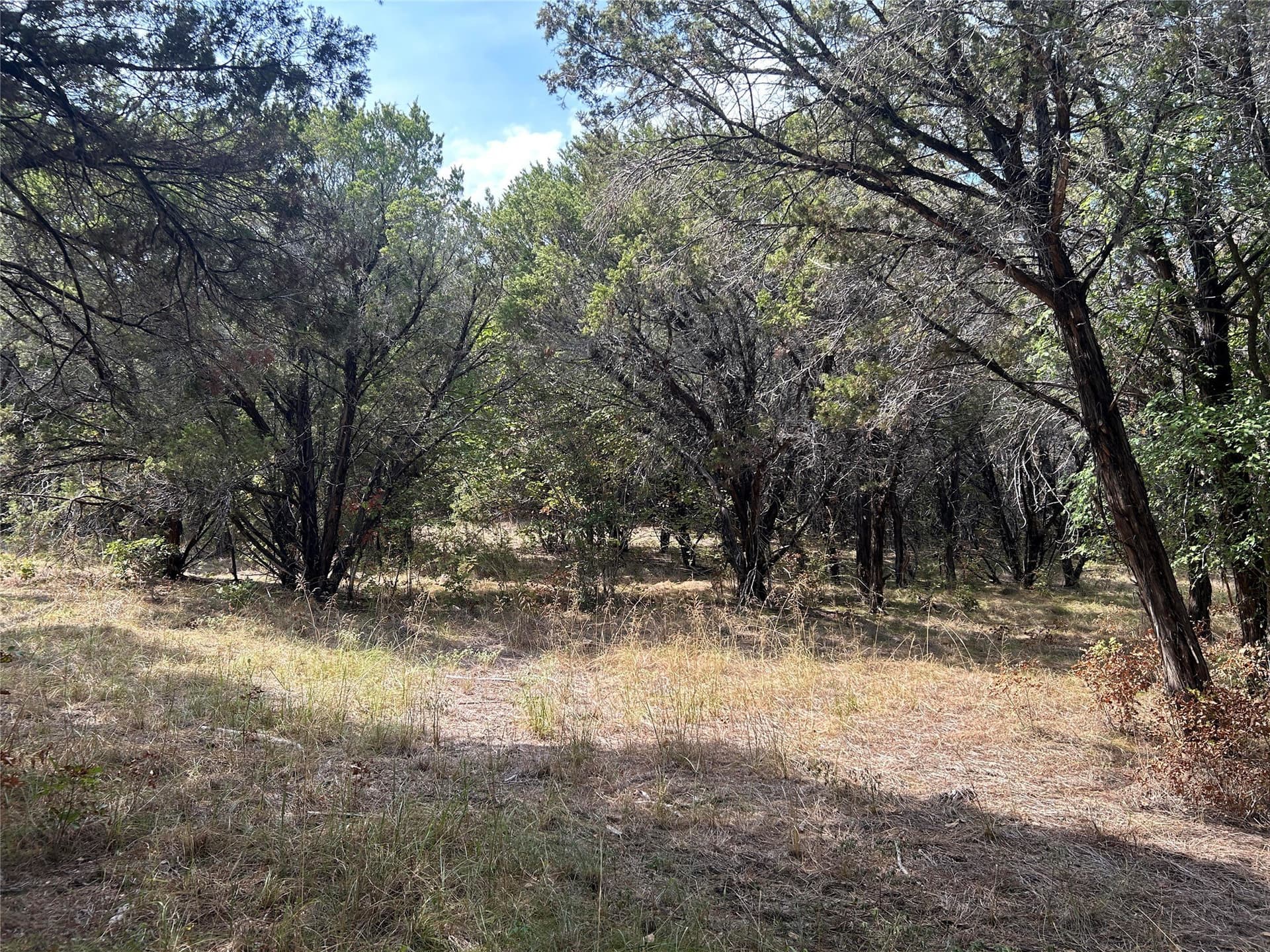 0.33 acres in Johnson County - photo 3