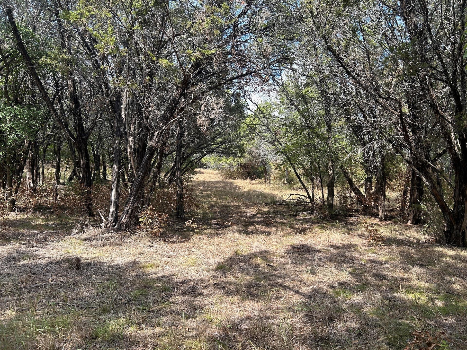 0.33 acres in Johnson County - photo 4