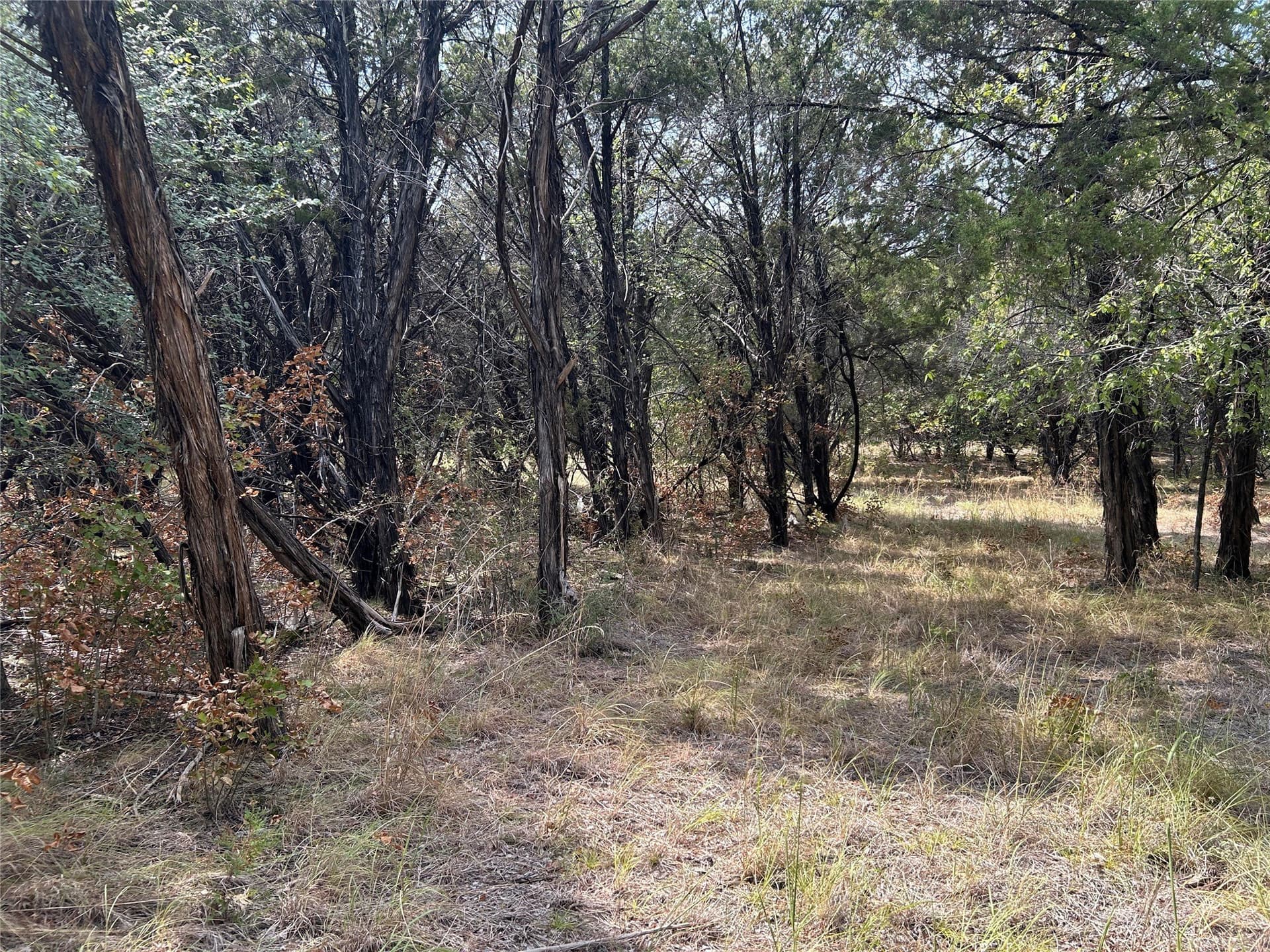 0.33 acres in Johnson County - photo 2