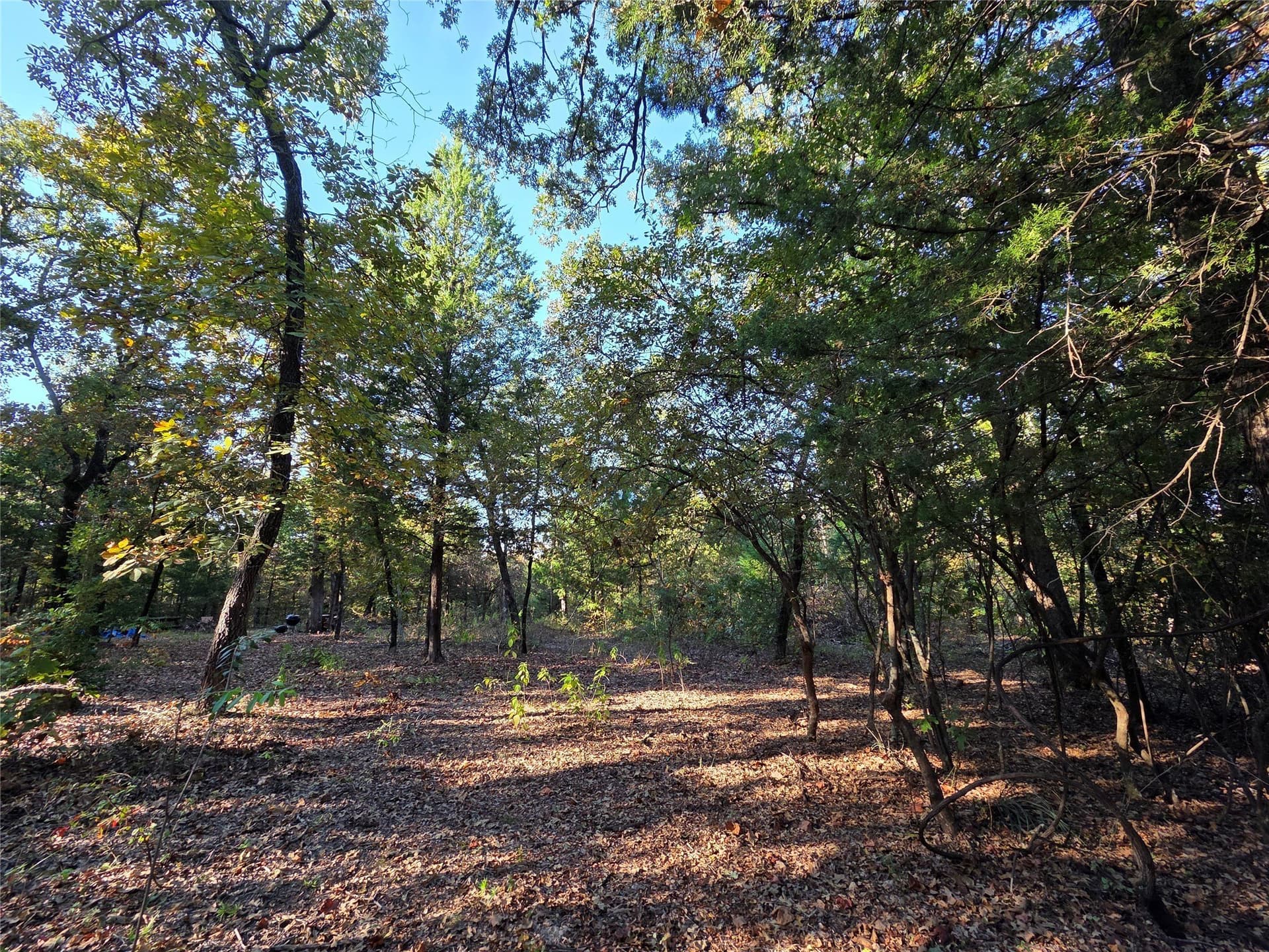 5.17 acres in Henderson County - photo 4