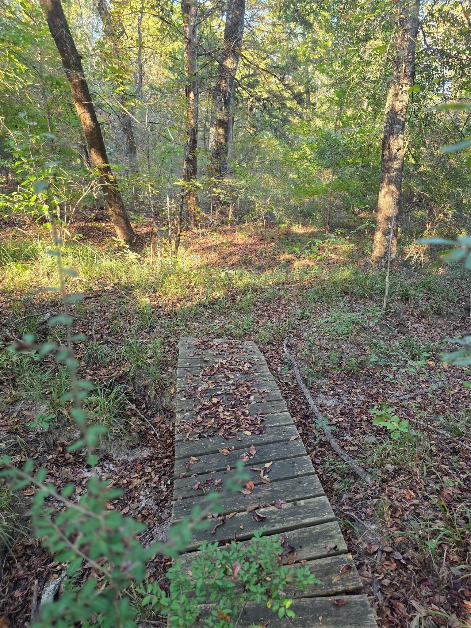 5.17 acres in Henderson County - photo 23