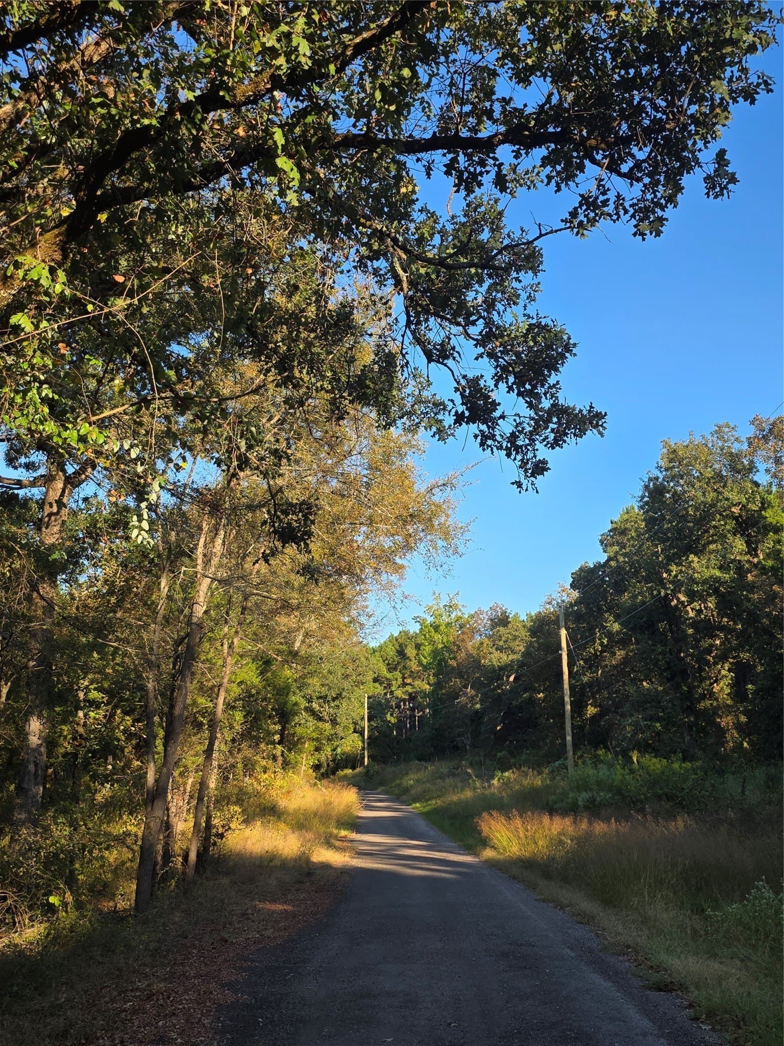 5.17 acres in Henderson County - photo 3