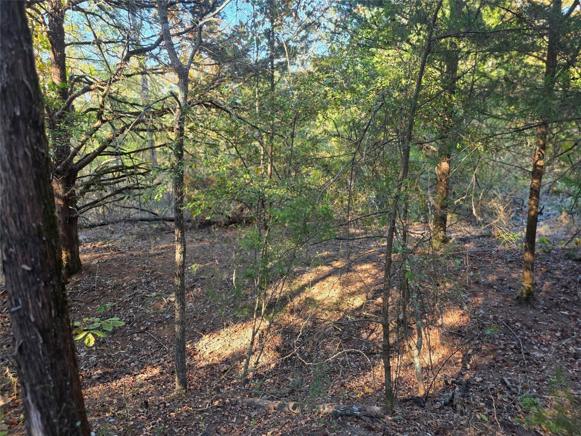 5.17 acres in Henderson County - photo 9