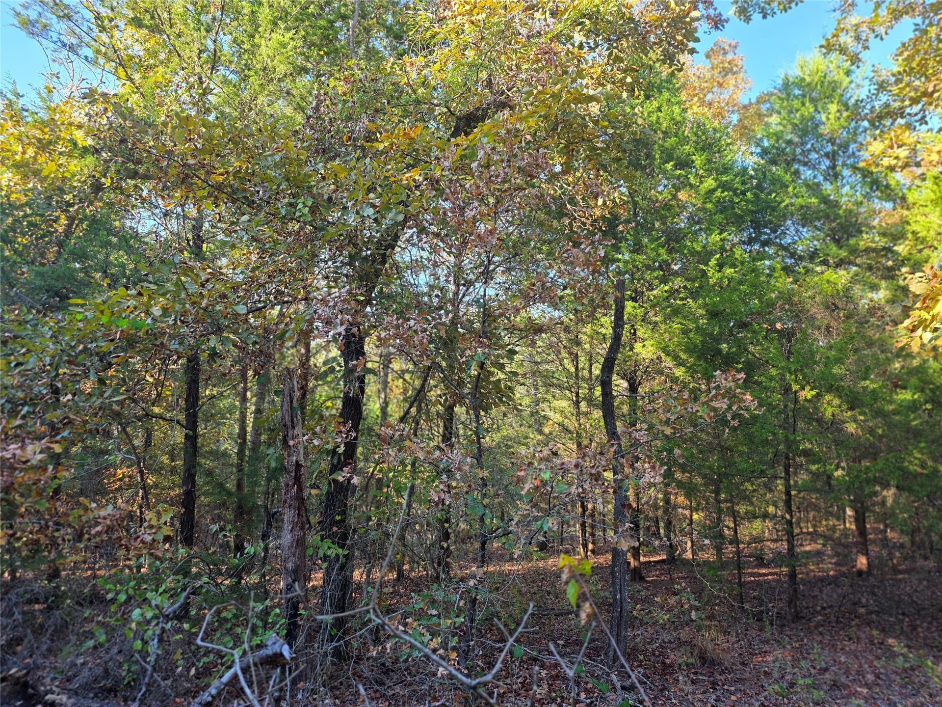 5.17 acres in Henderson County - photo 12