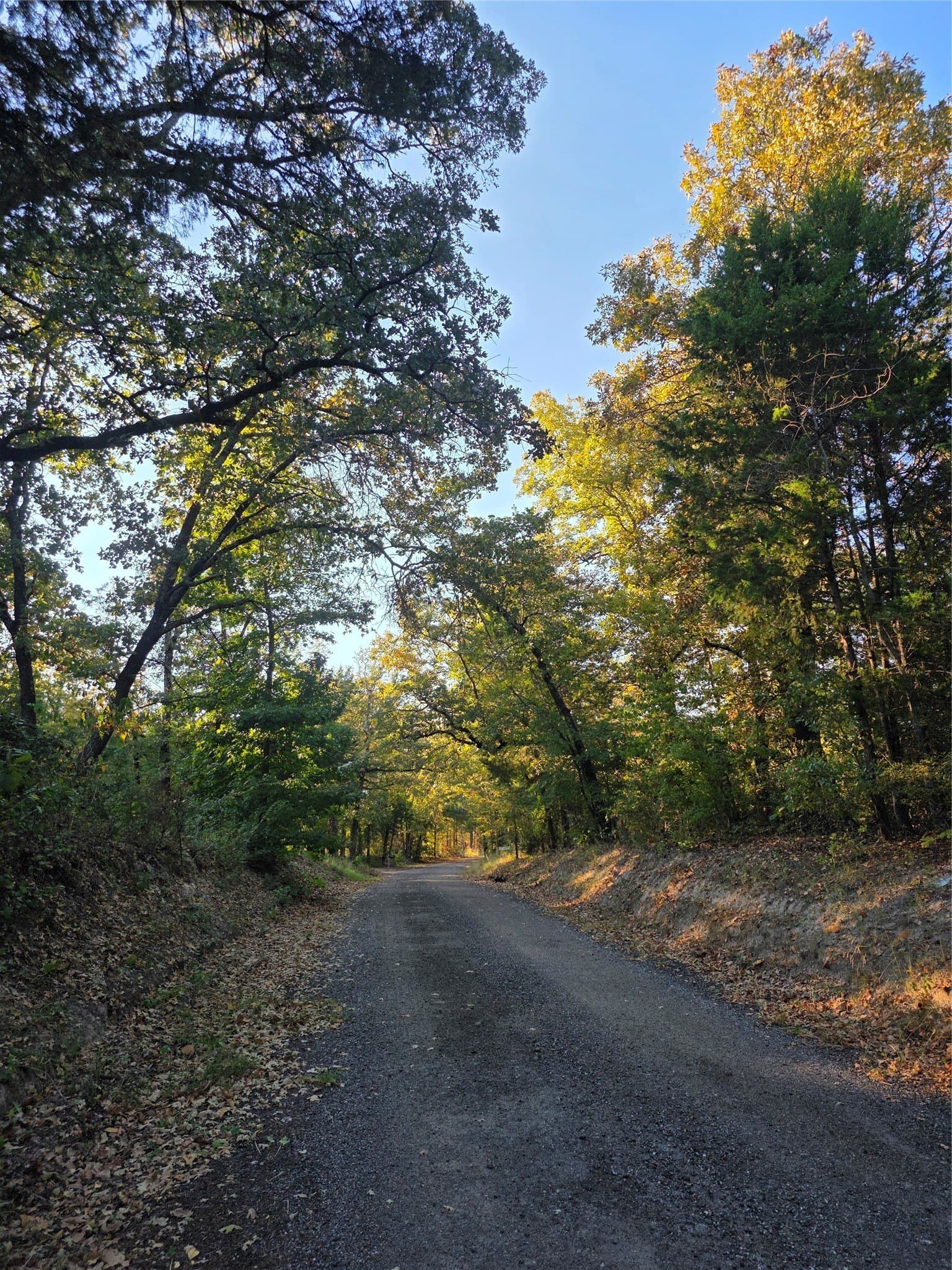 5.17 acres in Henderson County - photo 37