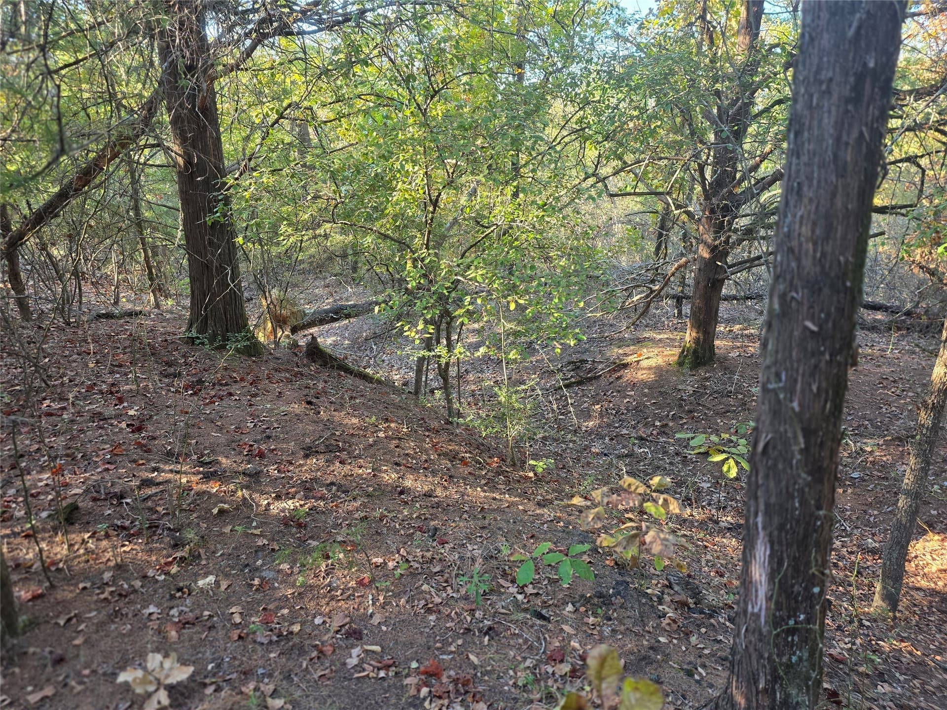 5.17 acres in Henderson County - photo 8
