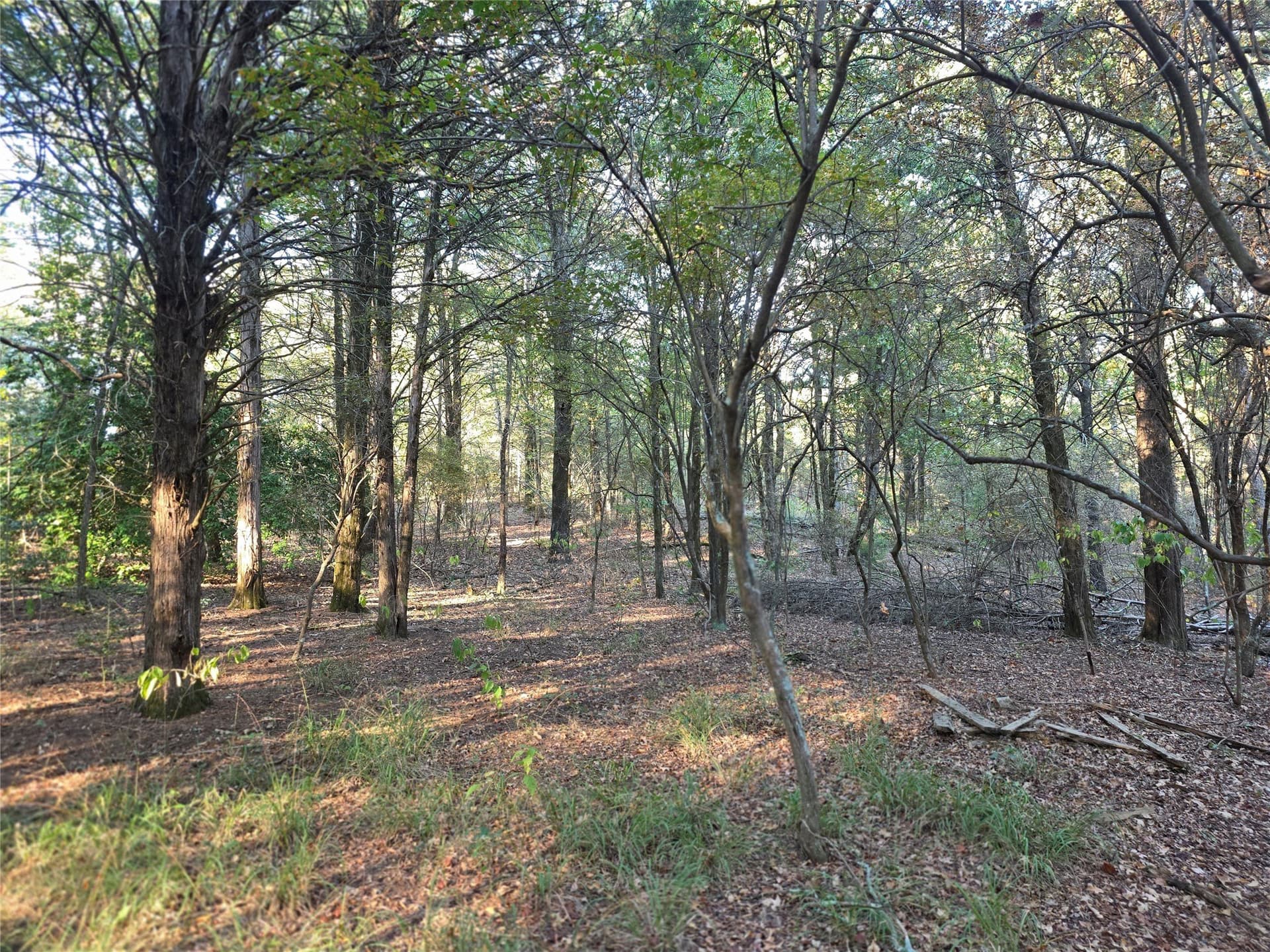 5.17 acres in Henderson County - photo 25